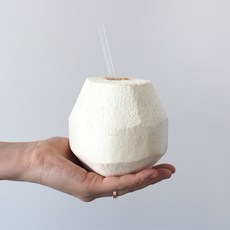 베트남아보카도