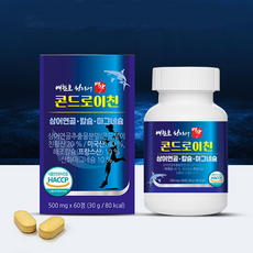 배한호 원장의 명작 콘드로이친 저분자 상어 연골 미국산 칼슘 마그네슘 12개월분, 30정, 12박스