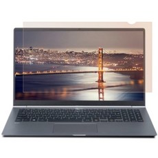 [텐바이텐] 3M GPF 15.6W9 노트북 블루라이트차단 사생활 정보보호 보안필름, 단일상품