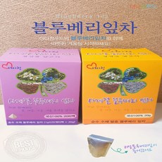 정성담은블루베리