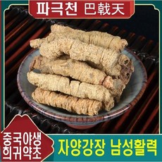 야생약초 파 극천 500g 남성활력 건조 노니뿌리 해 독, 1개