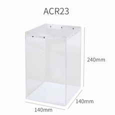 톱사슴벌레암컷