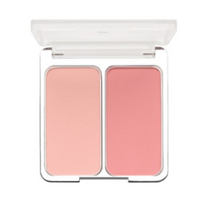 투에이엔듀얼치크