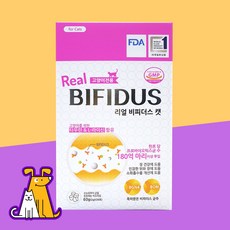 리얼비피더스캣