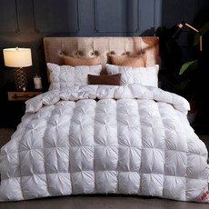 까사미아구스이불