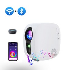 sega플라네타리움