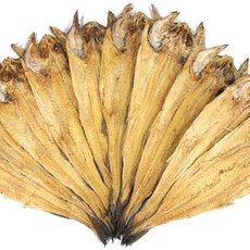 산지직송 용대리 황태포 특대 마리당크기 42~44cm, 10마리