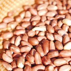 24년 대성농협 국산 고소한 볶음알땅콩 300gX3봉, 300g, 3개