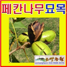 6b8adaedc88e7908ae6aba98d78d322cb3c0f7bb3521750d45b574514034.png