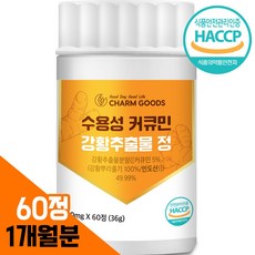 수용성 커큐민 영양제 강황 추출물 프리미엄 인도산 / 테라큐민 맥스, 1개, 60정