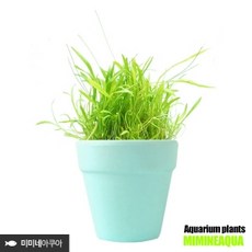 6a3fabb709923be192dd7c7a87b3d2de4bf2c907a1004f93ac7aa2cec2a9.jpg
