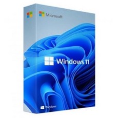 마이크로소프트 윈도우11 프로 정품키 바로발송