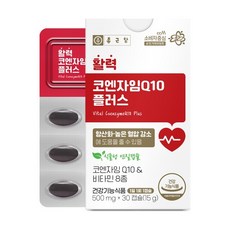 베스트식품 종근당 활력 코엔자임Q10 플러스 500mg x 30캡슐 1개, 30정