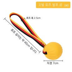 소리나는강아지