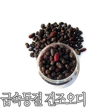 건오디