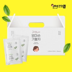 기혈차 율무 연잎 산사 진피 추출액, 100ml, 1개