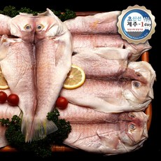 [초신선제주-1day] 제주 구이용 홍옥돔 (중1.1kg 6미)
