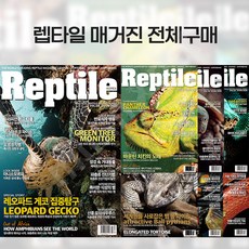 렙타일 매거진 전체
