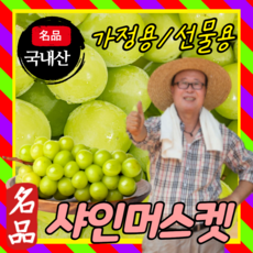 코스트코샤인머스켓