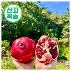캘리포니아 미국산 석류, 1박스, 중과 3kg(6-9과)