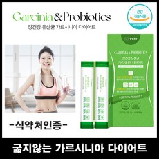 강아지굶지않고다이어트하는법