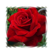 5f0e81f03f81604ef47f01267ab5e9f0483a6b42cc51397e3e5eae5438b5.png