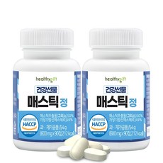 건강선물 매스틱 정 식약처 HACCP 인증 600mg, 54g, 2개