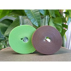 필로덴드론위시본