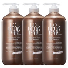 로더렛 컬러 핏 웜 포레스트 헤어 샴푸 1000ml, 3개, 1L