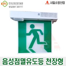 음성점멸유도등