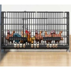 닭장케이지 사육장 토끼장 병아리집 견사 새장 조류, 계란케어패키지4개130x60x70(8-10), 1개
