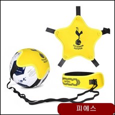 토트넘 홋스퍼 FC 리턴볼 축구연습 킥연습 슛팅훈련 축구훈련 축구가방 축구용품 bj.u 그린