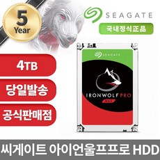 씨게이트 IronWolf Pro HDD NAS용, 4TB, ST4000NE001 - st4000ne001