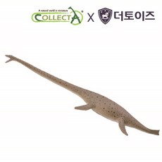 컬렉타메갈로돈