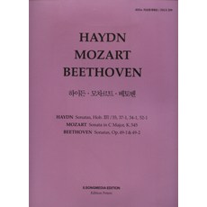 비엔나어쿠스틱하이든쥬빌리