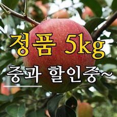 [사과] 정품중과 5kg 초특가할인행사중~한정수량만., 청송사과 정품 중과 5kg (15과~16과내외), 1개