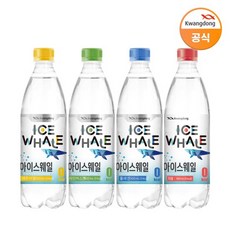 광동 아이스웨일 탄산수 500ml 모음