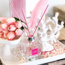 모먼트캔들원데이