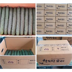 취청오이백오이