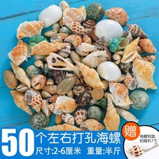 3d081264cc77fcbbf910e5e404aac6bf95bcdb75c97a59d6a1bdc41d2f62.jpg