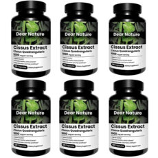 디어네이쳐시서스