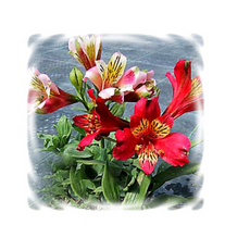 42c76a3784db15df66e57708b081d7c9133ee8f46ef3f4141e3e2f850c32.png