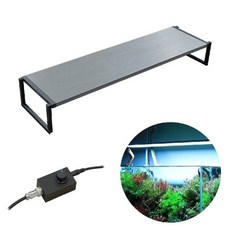 메탈라이트리얼