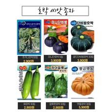 맛있고 당도높은 호박씨앗 단호박 맷돌 쥬키니 땅콩 풋호박 종자 모음세트 (단호박 맷돌호박 쥬키니 애호박 풋호박 땅콩호박 모음세트), 킹카애호박30립, 1개