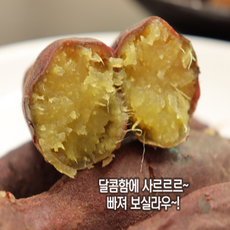 영암 세척 꿀고구마 3KG 밤고구마 호박 못난이 찐고구마 햇 첫사랑 한입 강화도, 세척 꿀고구마 한입 3KG