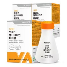 비타민마을 와이즈 멀티비타민 미네랄, 60정, 3개
