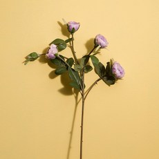 e8030e52b182954bd40f7d24e0838f65ce87659bcab9ae9b90e04c881101.jpg