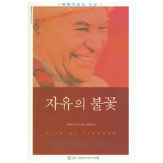 자유의 불꽃:빠빠지와의 삿상, 슈리크리슈나다스아쉬람