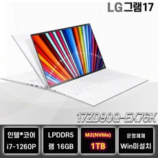 LG그램17 17ZD90Q-EX76K 인텔 i7 사무용 업무용 대학생 노트북, Free DOS, 16GB, 1TB, 화이트