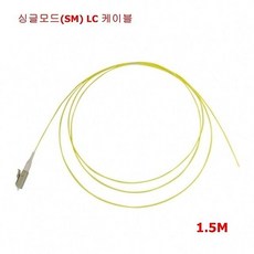 광피그테일